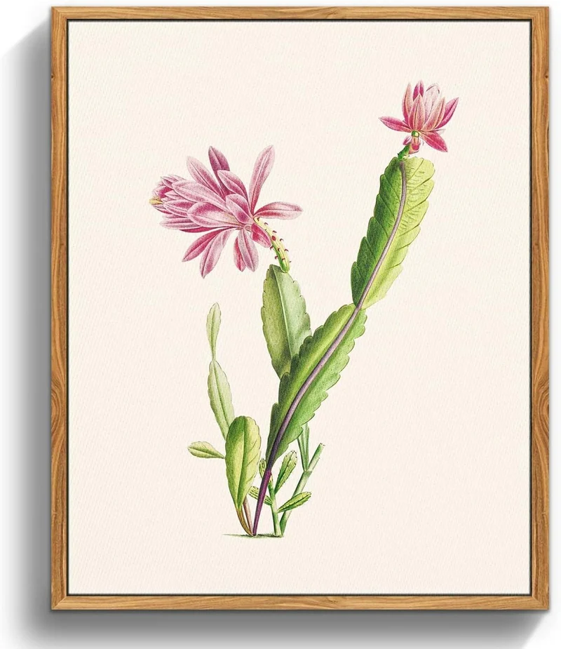 Vintage Botanische Leinwand Bilder Kaktus Blumen Bild 20x25