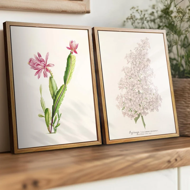 Vintage Botanische Leinwand Bilder Kaktus Blumen Bild 20x25