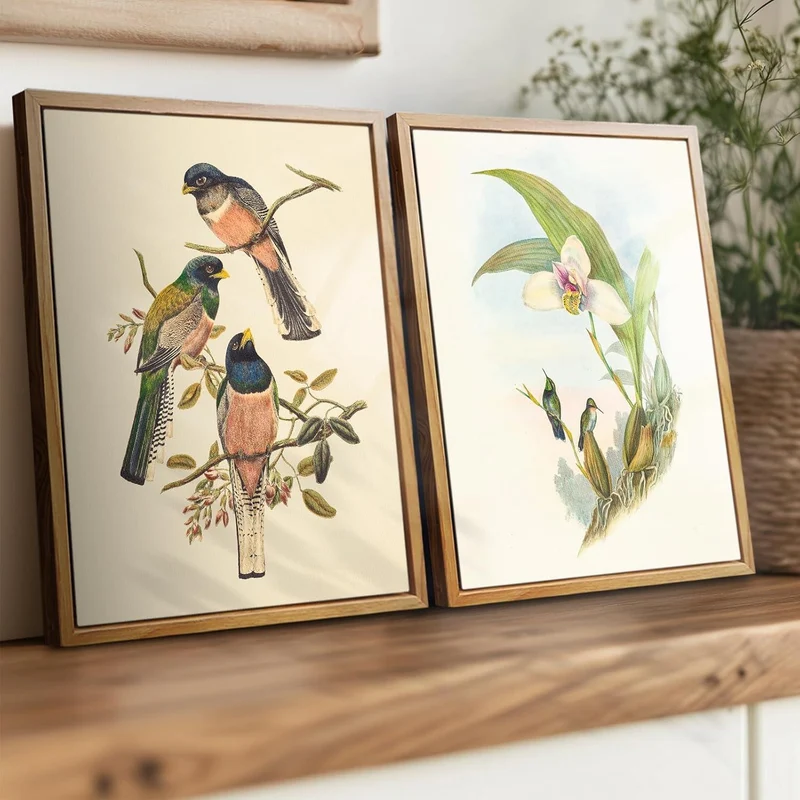 Vintage Trogon Vogel Leinwandbild mit Holzrahmen 30x40cm