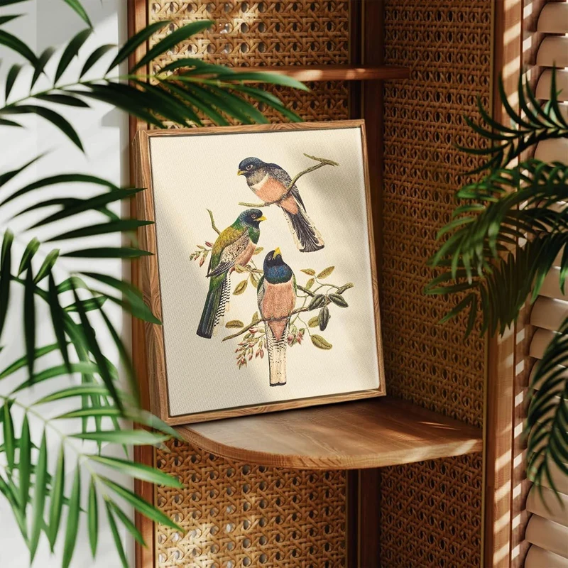 Vintage Trogon Vogel Leinwandbild mit Holzrahmen 30x40cm