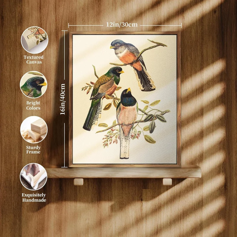 Vintage Trogon Vogel Leinwandbild mit Holzrahmen 30x40cm