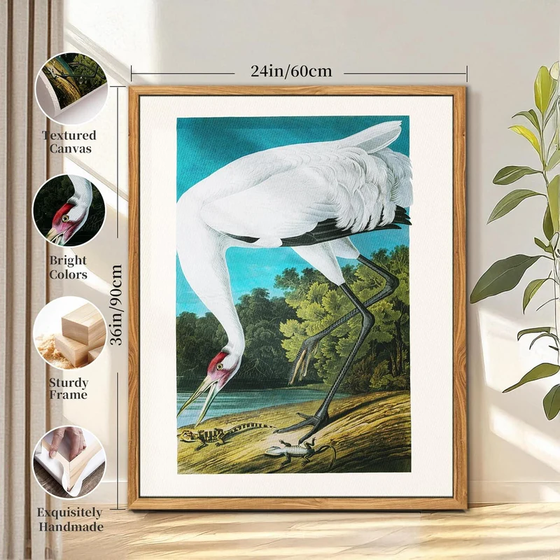 Vintage Vogel Leinwandbild Schreikranich 60x90 cm mit Rahmen