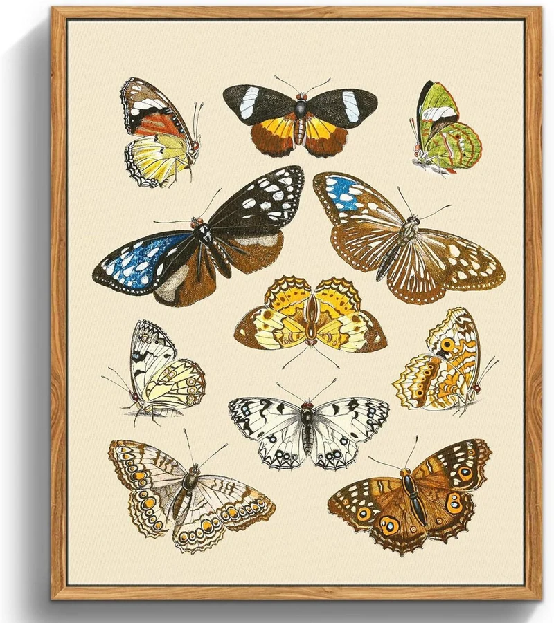Insekten Leinwandbild mit Holzrahmen 40x60cm Wohnzimmer