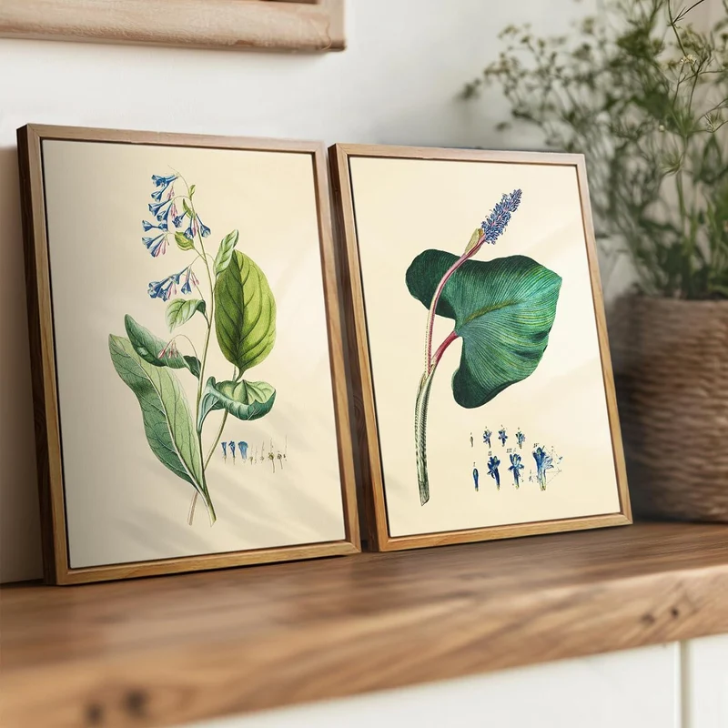 Vintage Botanische Leinwandbilder mit Holzrahmen 20x25 cm