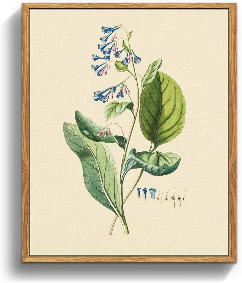 Vintage Botanische Leinwandbilder mit Holzrahmen 20x25 cm