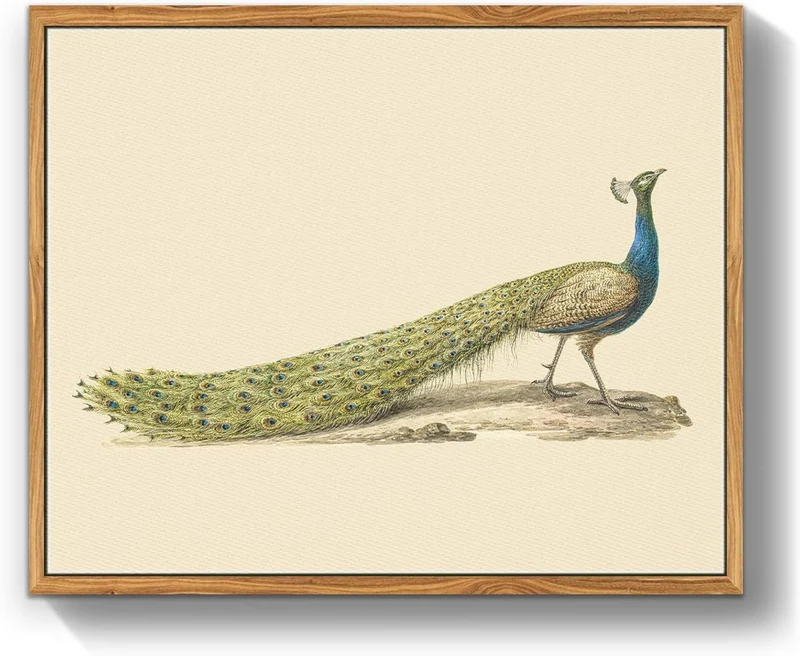 Vintage Blauer Pfau Leinwandbild mit Holzrahmen 30x40cm