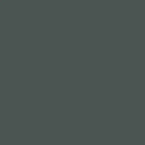 Pittura anticante Pentart 50 ml