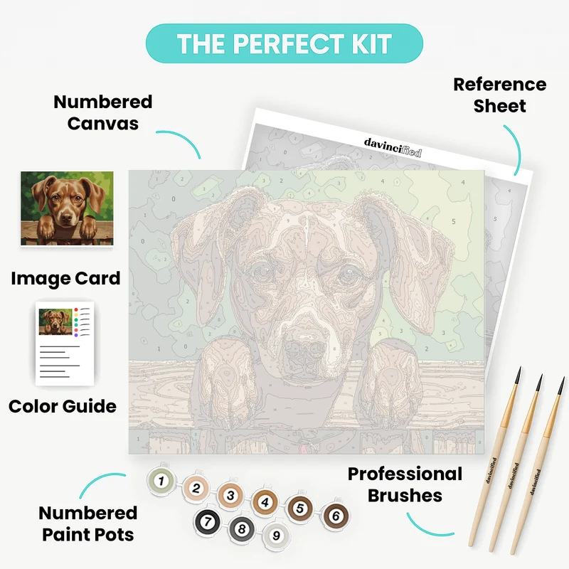 Adorable Brown Dog Peeking Over Fence - Paint by Numbers Kit