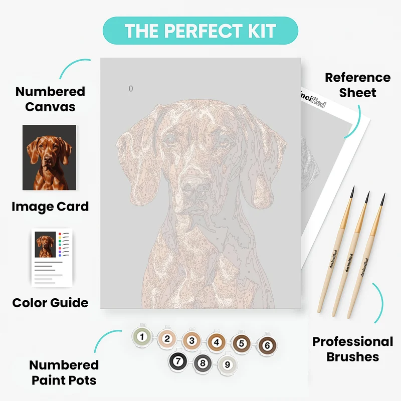 Vizsla Dog Portrait - Paint by Numbers Kit