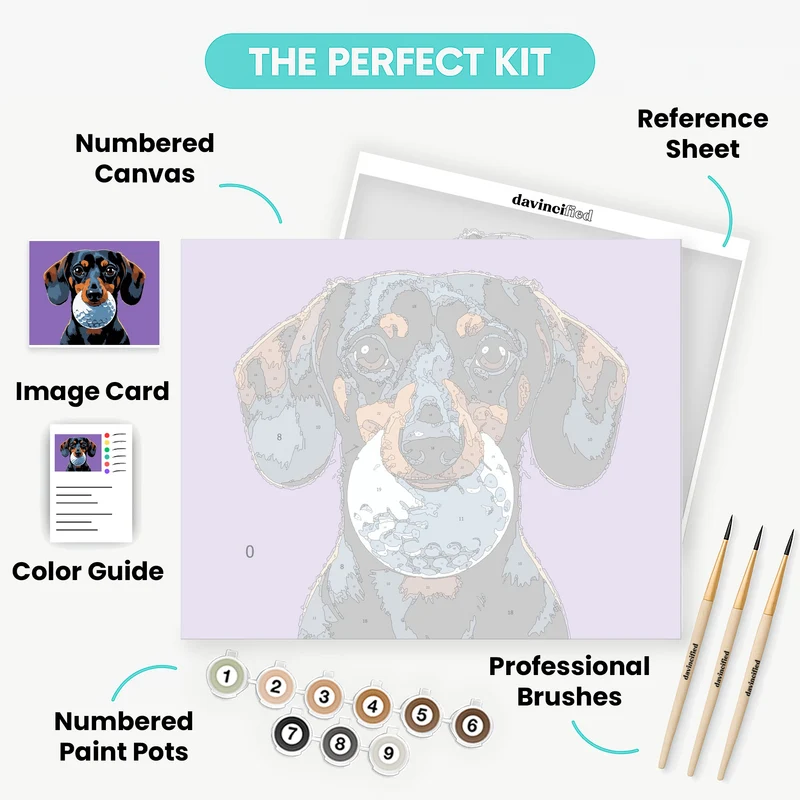 Golfing Dachshund - Paint by Numbers Kit
