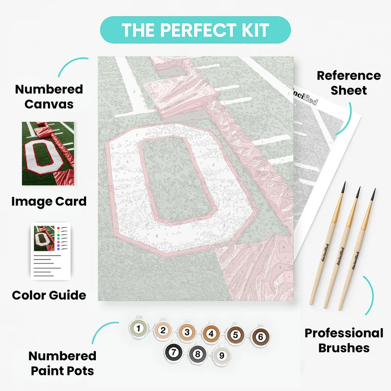 Ohio State Football Field - Paint by Numbers Kit