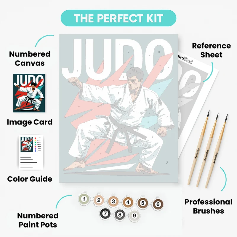 Judo Martial Arts - Paint by Numbers Kit