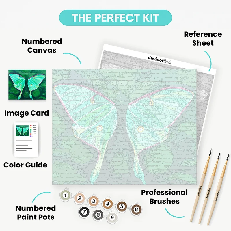 Luna Moth Mural - Paint by Numbers Kit
