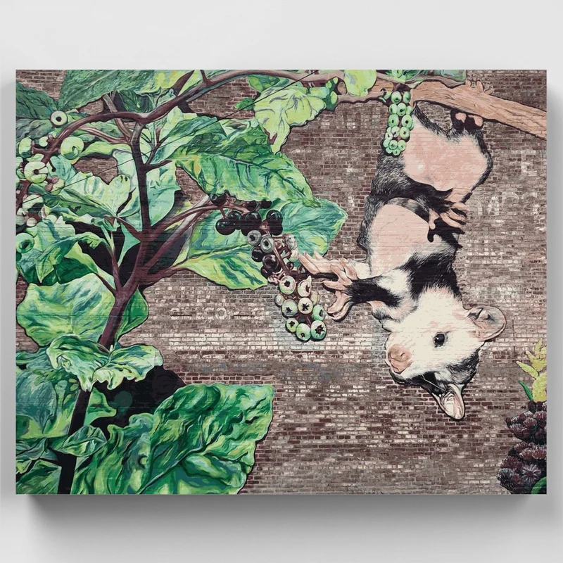 Petunia Possum - Paint by Numbers Kit