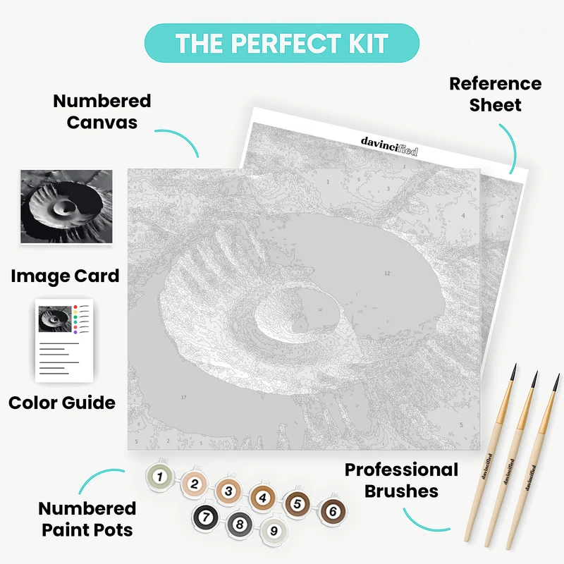 Mars Crater Formation - Paint by Numbers Kit