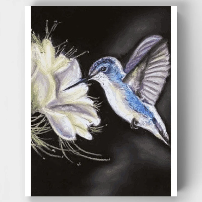 Blue Hummingbird with White Flower - Paint by Numbers Kit
