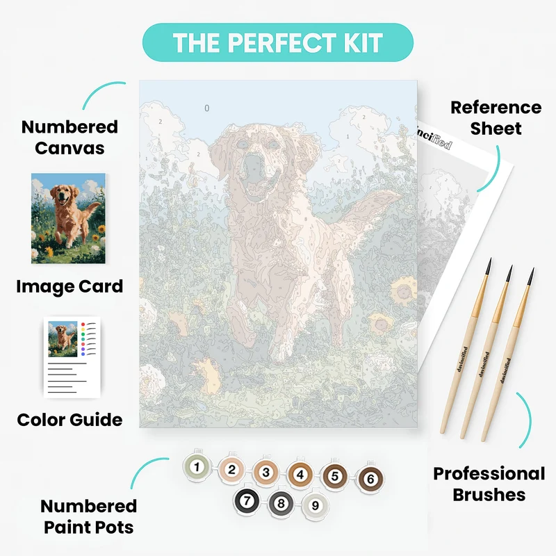 Playful Golden Retriever - Paint by Numbers Kit