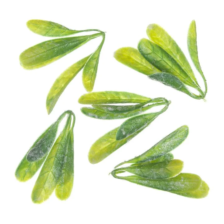 3D okrasni listi prekriti z ivjem 5 kosov