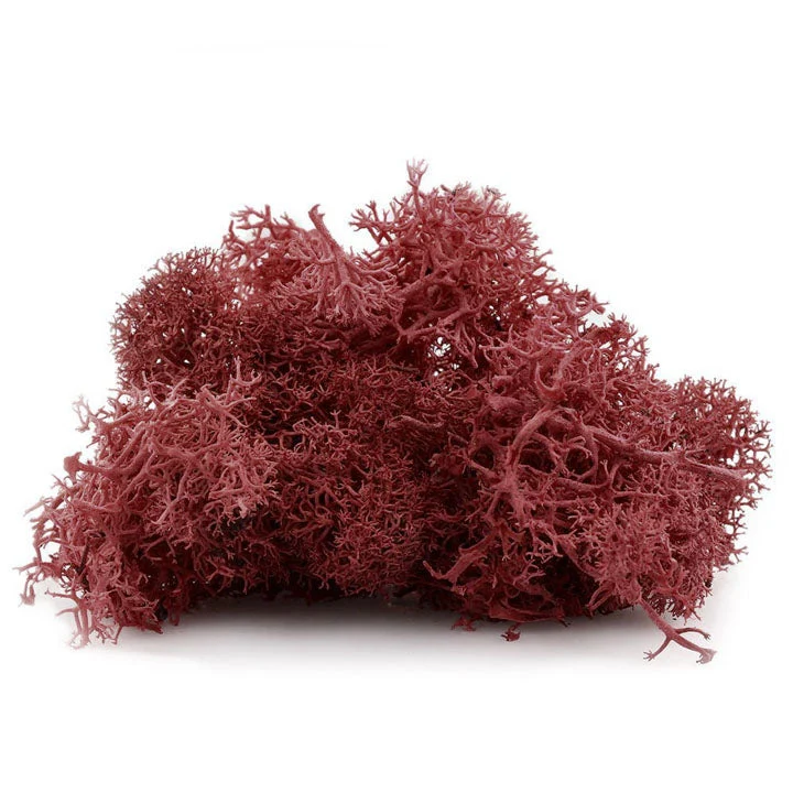 Исландски мъх 12 g