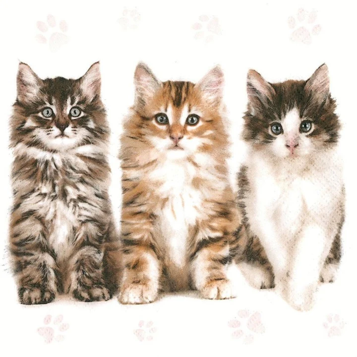 Салфетки за декупаж Three Beautiful Cats - 1 брой
