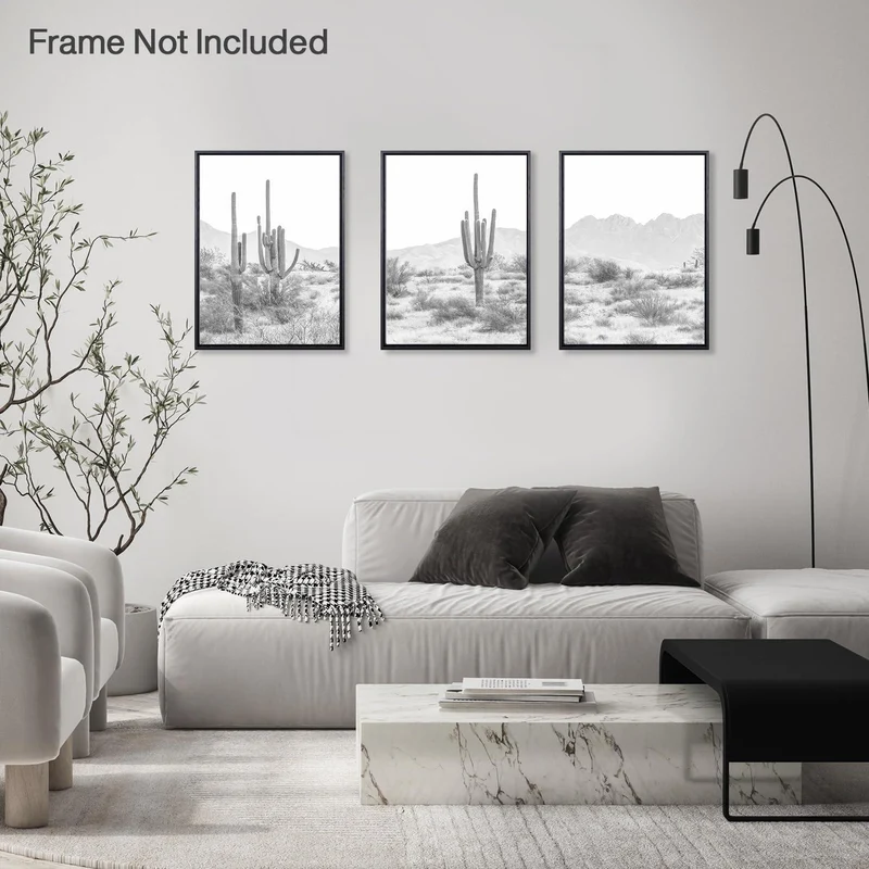 Leinwandbilder Kaktus Wüste 3er Set 12x16 Zoll ungerahmt