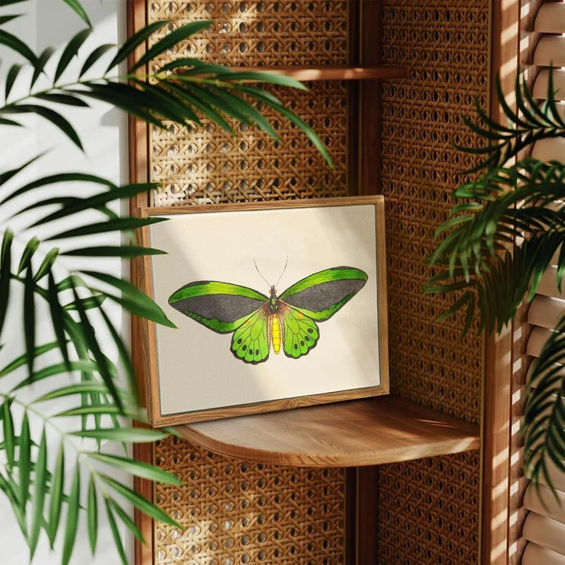 Insekten Leinwand Bilder mit Rahmen - Vintage Aesthetic