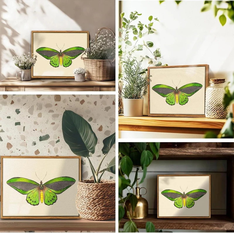 Insekten Leinwand Bilder mit Rahmen - Vintage Aesthetic