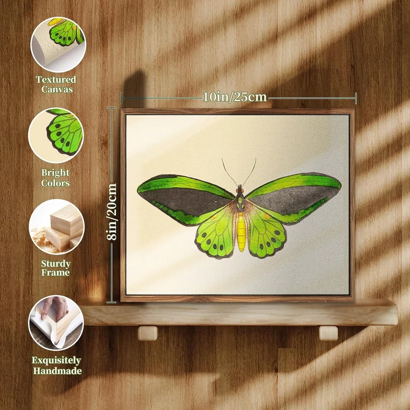 Insekten Leinwand Bilder mit Rahmen - Vintage Aesthetic