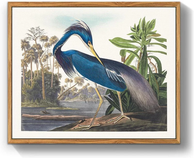 Vogel Leinwandbild mit Rahmen, Vintage, 40x60 cm Blauer