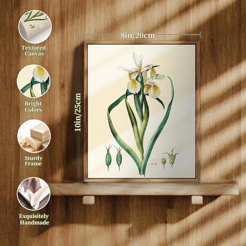 Vintage Botanische Leinwandbilder mit Holzrahmen 20x25cm