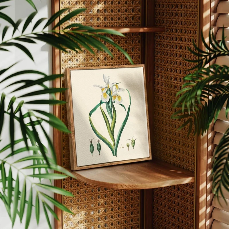 Vintage Botanische Leinwandbilder mit Holzrahmen 20x25cm