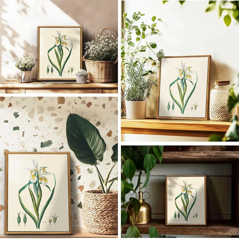 Vintage Botanische Leinwandbilder mit Holzrahmen 20x25cm