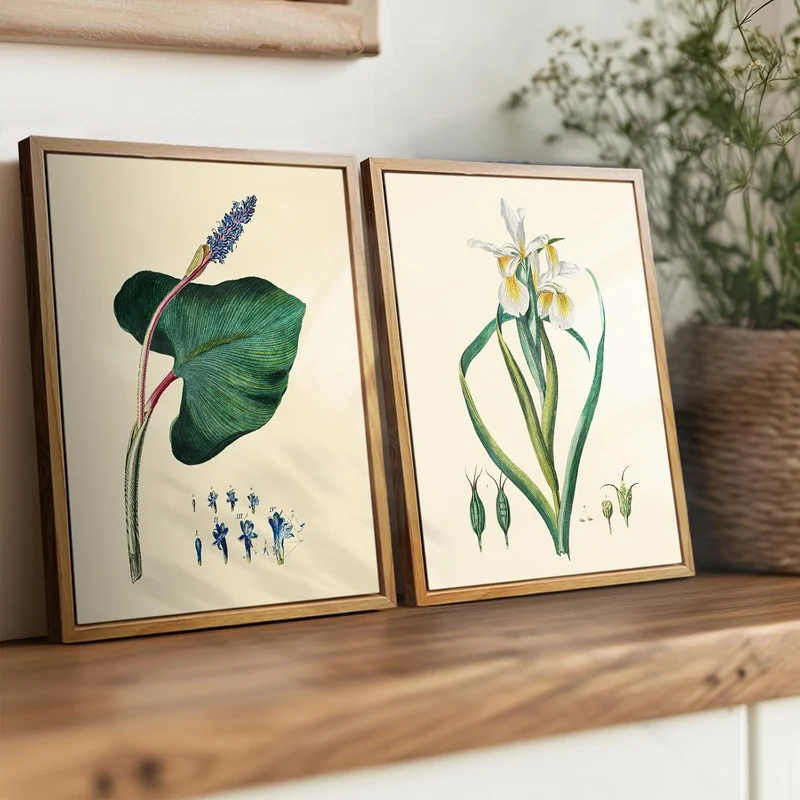 Vintage Botanische Leinwandbilder mit Holzrahmen 20x25cm
