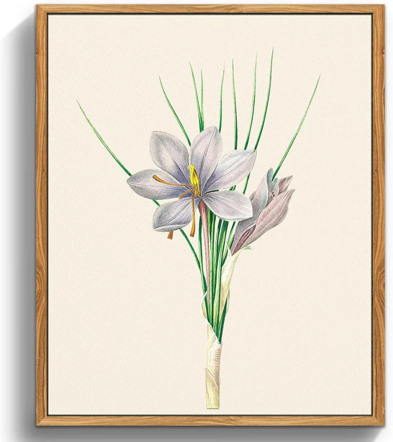 Vintage Botanische Leinwand Bilder mit Holzrahmen 30x40cm