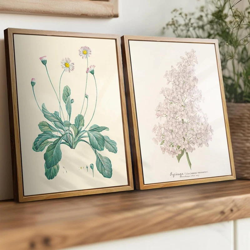 Vintage Botanisches Leinwandbild Holzrahmen 20x25cm