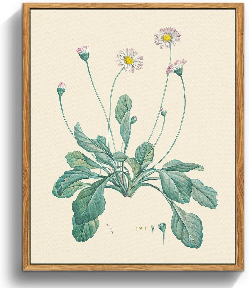 Vintage Botanisches Leinwandbild Holzrahmen 20x25cm