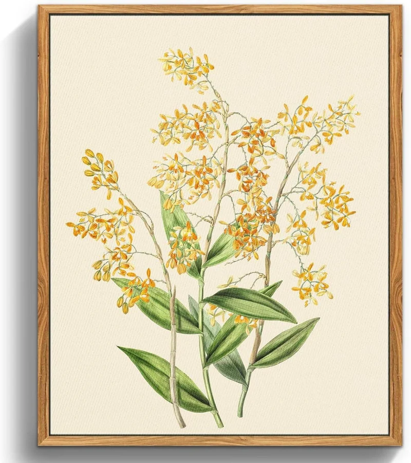 Vintage Botanische Leinwandbilder mit Holzrahmen 30x40cm