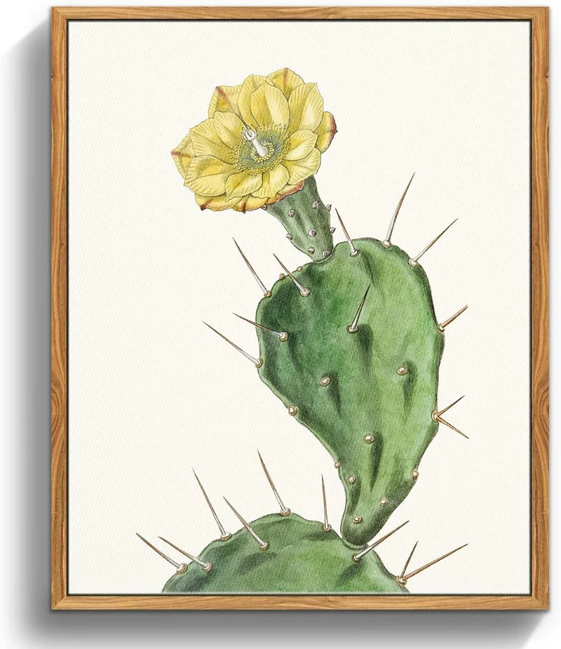 Vintage Botanische Leinwandbilder mit Holzrahmen - 20x25 cm