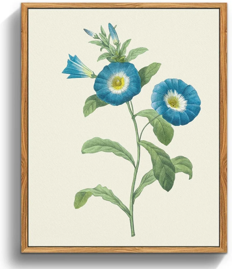 Vintage Insekten Leinwandbild mit Holzrahmen, 30x40