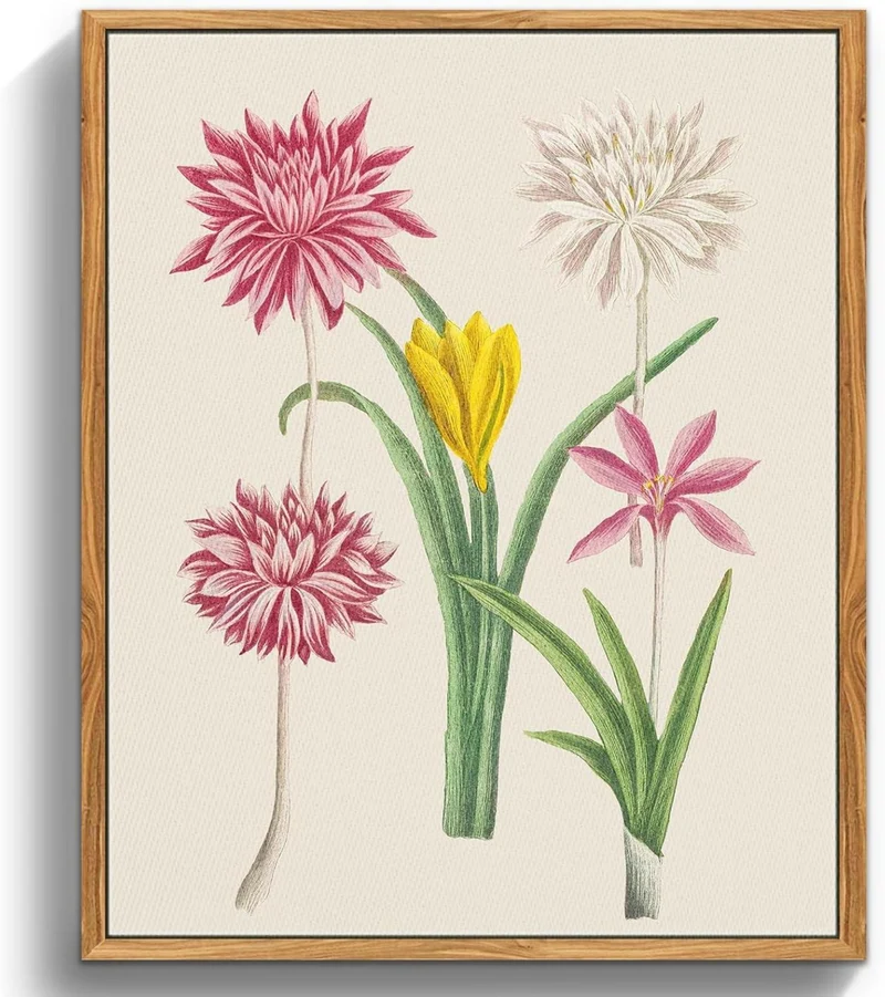 Vintage Botanische Leinwandbilder mit Rahmen, 20x25 cm