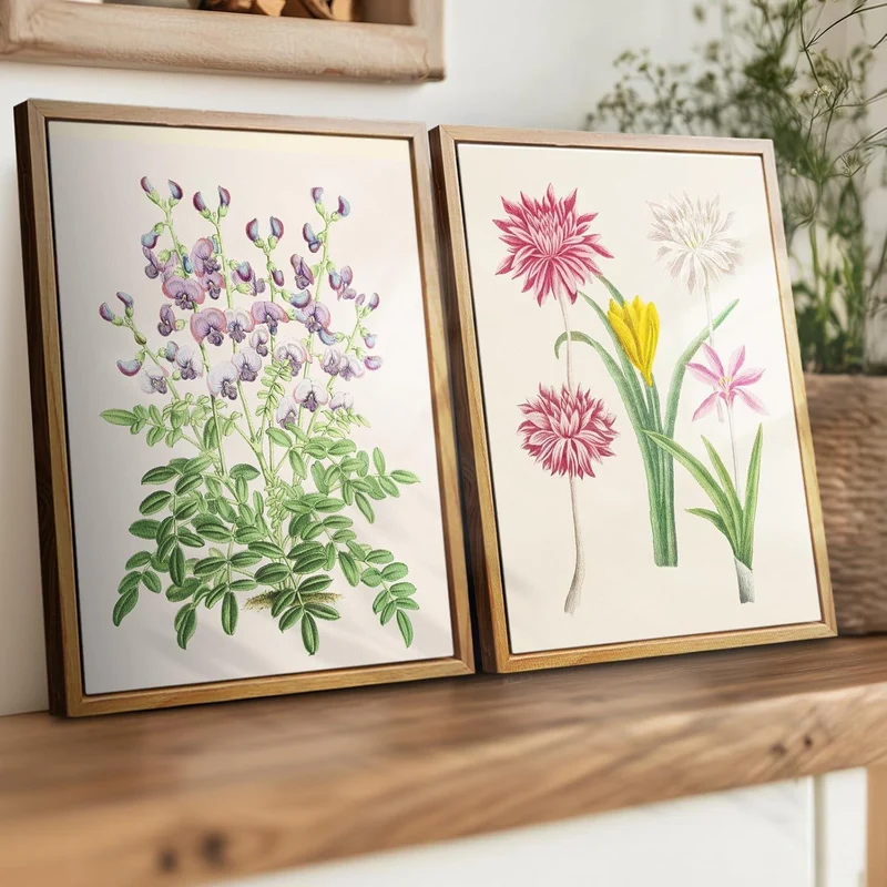 Vintage Botanische Leinwandbilder mit Rahmen, 20x25 cm