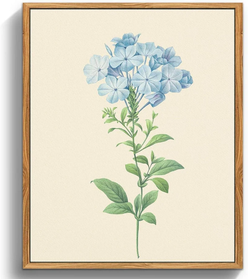 Vintage Botanische Leinwandbilder 30x40 cm mit Holzrahmen