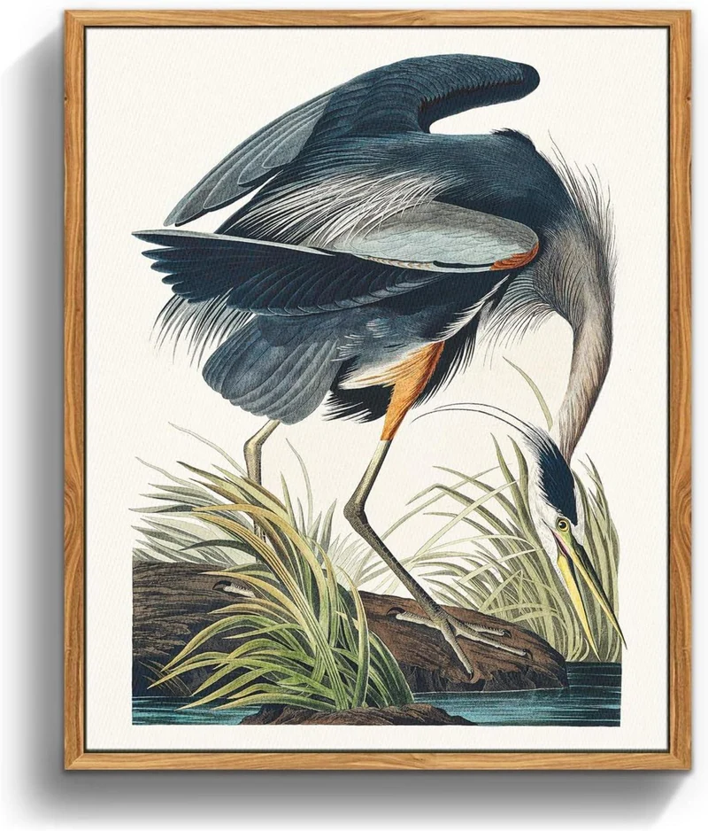 Vintage Vogel Leinwandbild mit Holzrahmen 30x40 cm