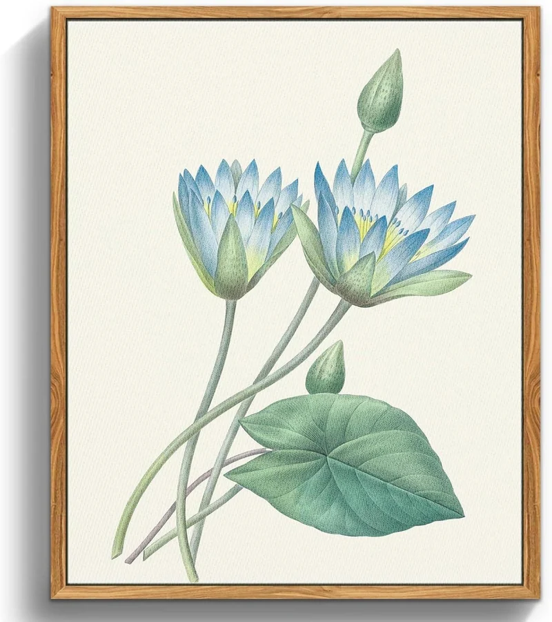 Vintage Botanische Leinwandbilder Blauer Lotus 30x40cm mit