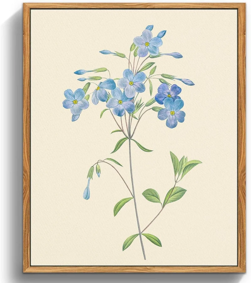 Vintage Botanische Leinwandbilder mit Holzrahmen, 30x40 cm