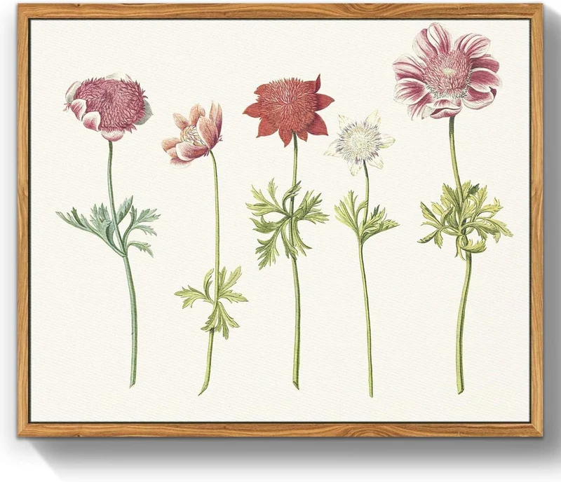 Vintage Botanische Leinwandbilder mit Rahmen, 30x40