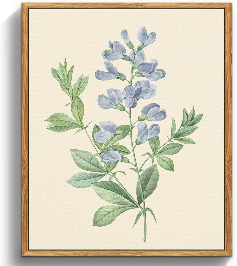 Leinwand Bilder Botanisch Blaue Blume Holzrahmen 30x40cm